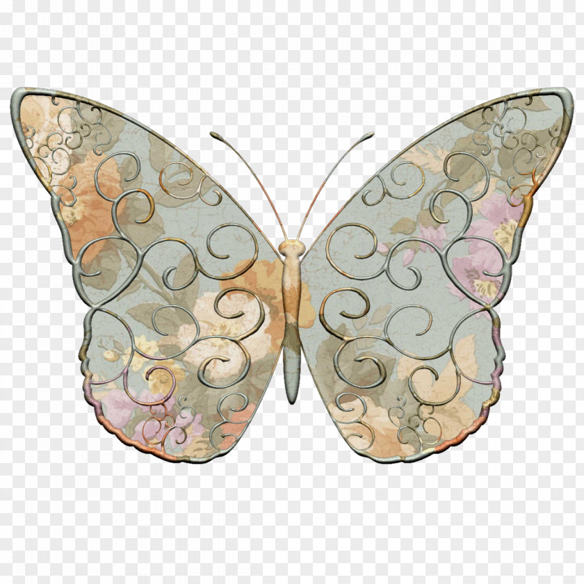 Fancy Lace Monarch Butterfly Insect Moth Borboleta Milkweed Butterflies PNG