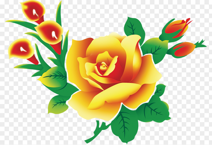 Flower Garden Roses High-definition Television Beach Rose PNG