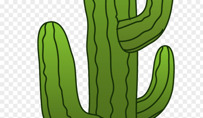 Hand-painted Vegetable Cactaceae Saguaro Clip Art PNG
