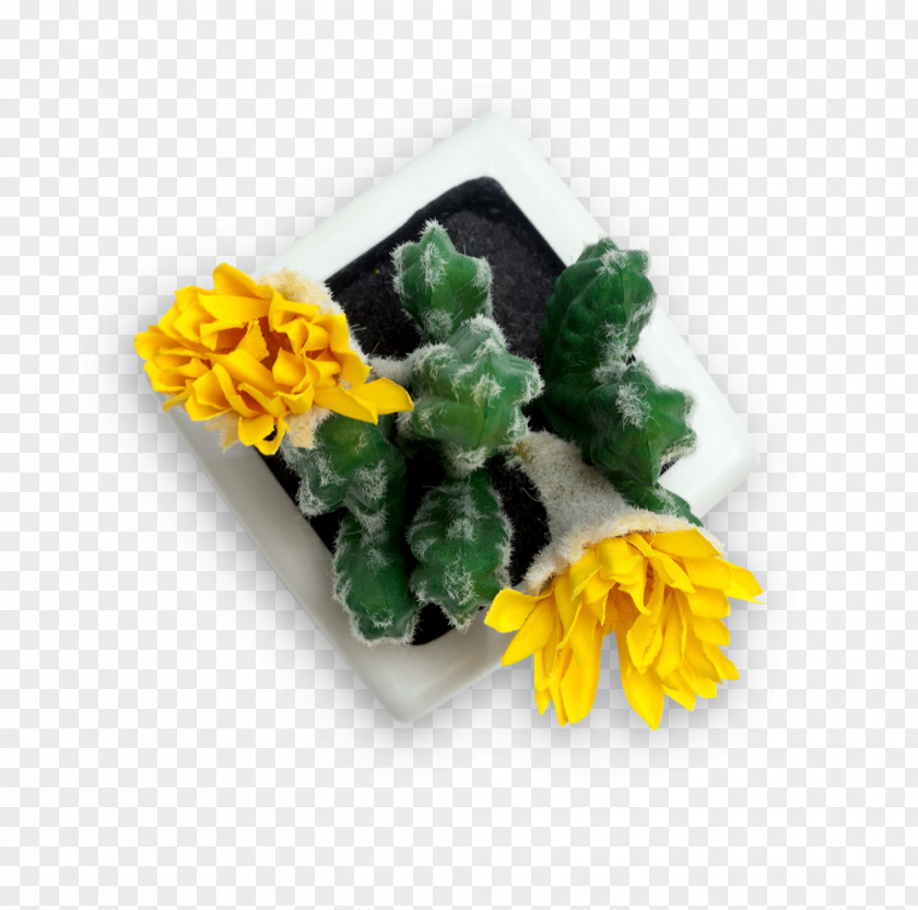 Hemp Seeds Yellow Book Cut Flowers Instagram Newsletter PNG