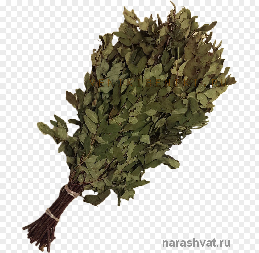 Military Tieguanyin Camouflage M Leaf PNG