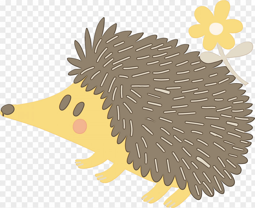 New World Porcupine Watercolor Cartoon PNG