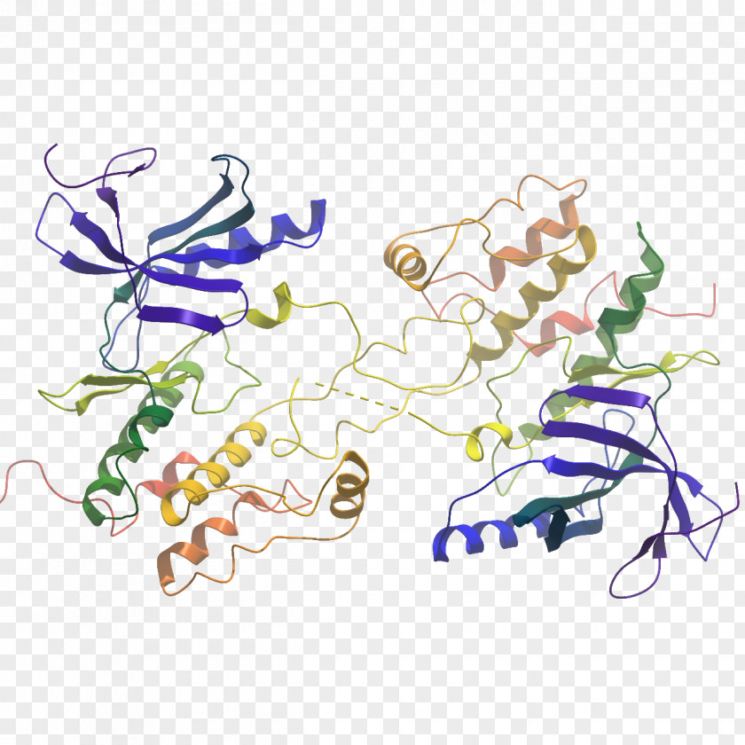 Illustration Product Design Clip Art WNK Lysine Deficient Protein Kinase 3 PNG