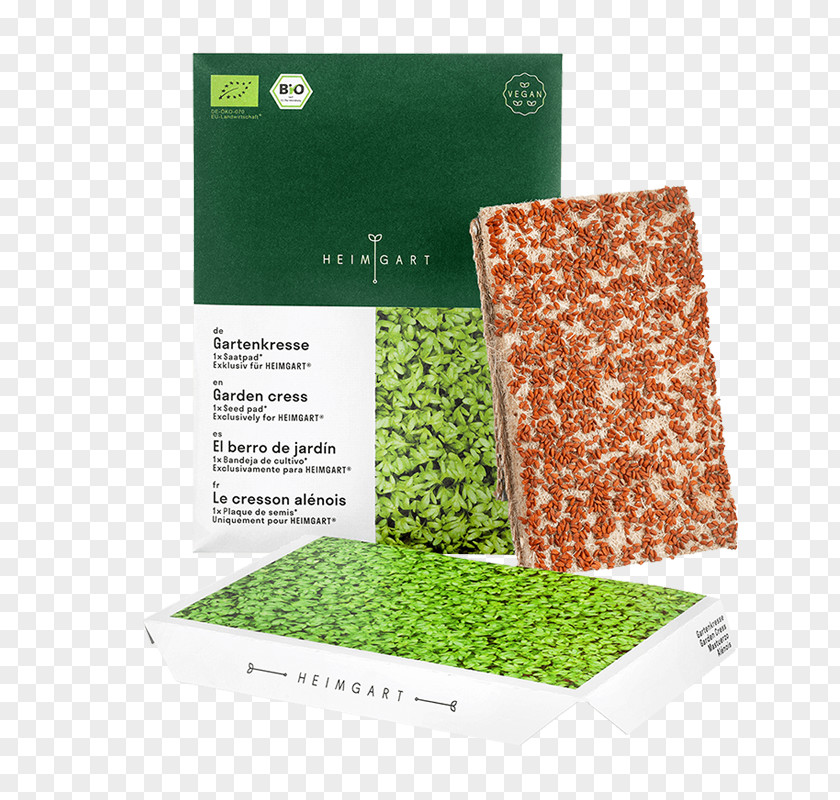 Microgreens Garden Cress Seed Microgreen Vitamin Superfood PNG