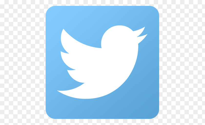 Twitter Hd Social Media Facebook Thumbnail Icon PNG