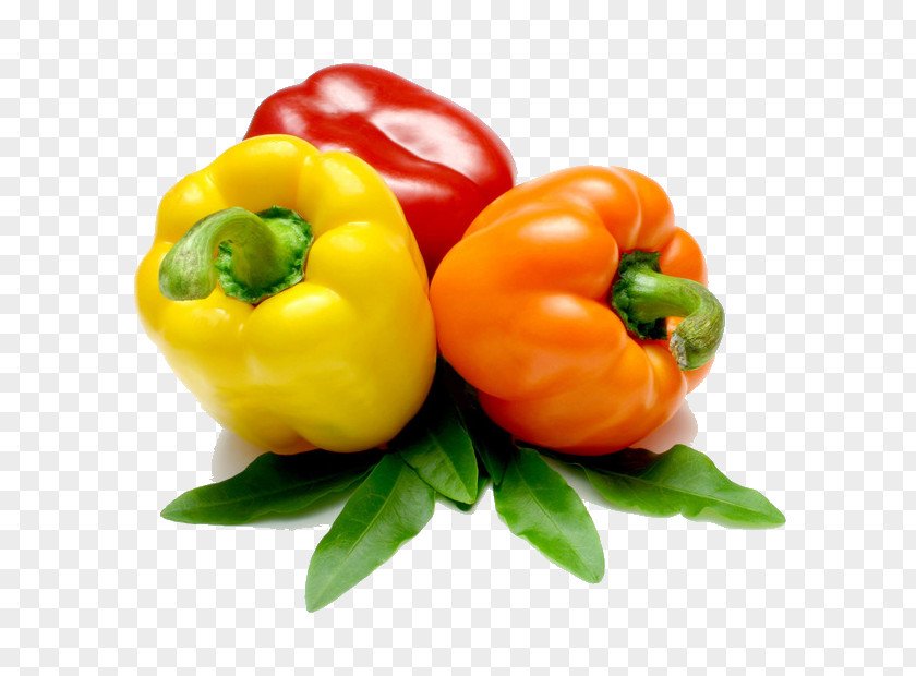 Yellow Pepper And Red Bell Vegetable Cucumber Fruit Chili PNG