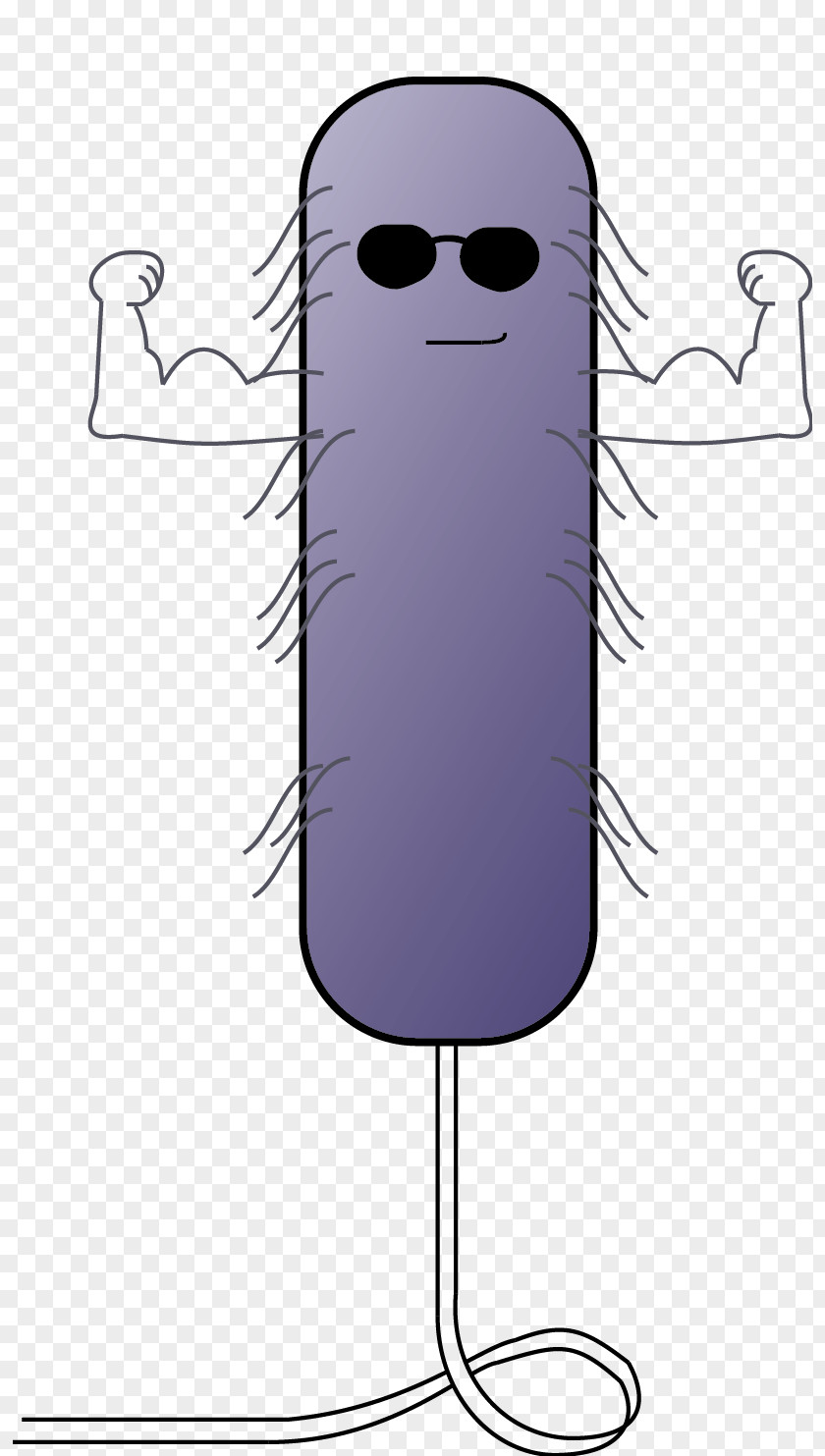 Animation E. Coli Animated Cartoon PNG