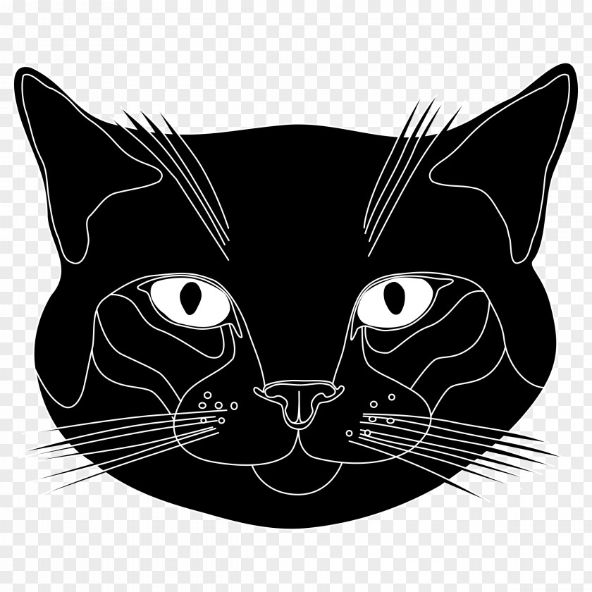 Black Cat Online Chat Adrien Agreste Clip Art PNG