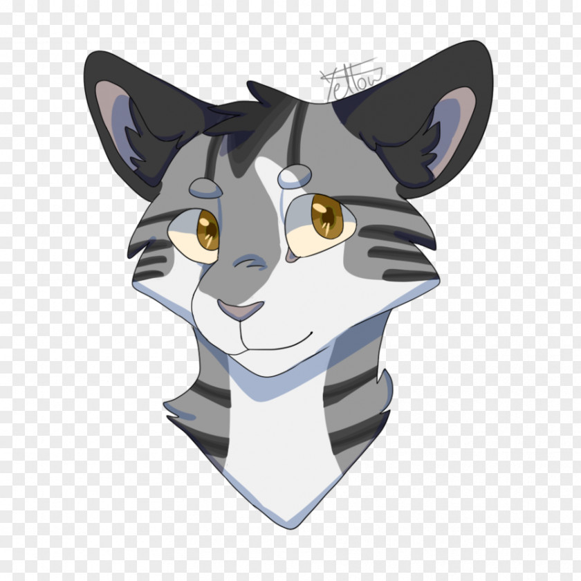 Cat Whiskers Character Angle PNG