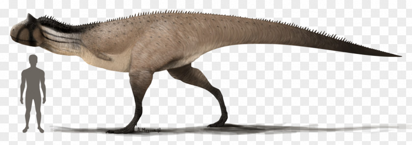 Dinosaur Carnotaurus Tyrannosaurus Allosaurus Dilophosaurus PNG