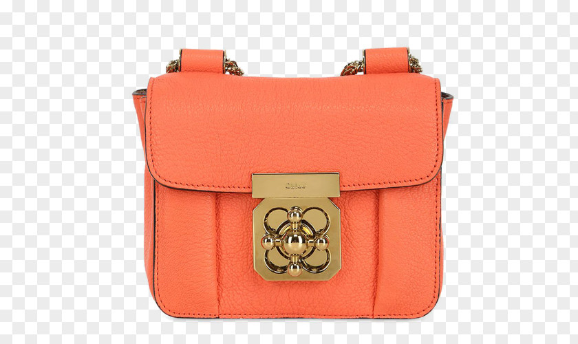 ELSIE Series,Ms. Coral Grain Calfskin Shoulder Bag Chain Handbag Leather Chloxe9 PNG