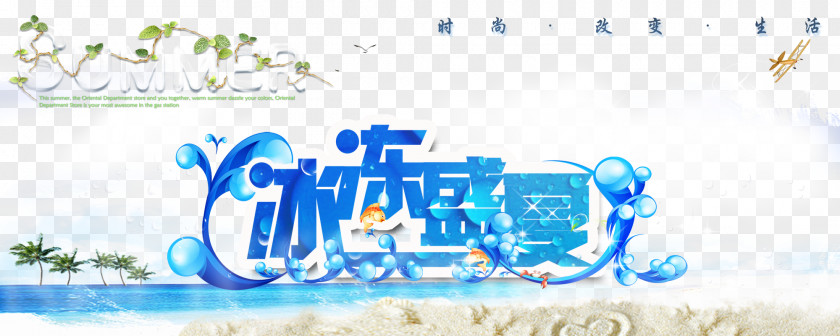 Frozen Summer Poster Beach PNG