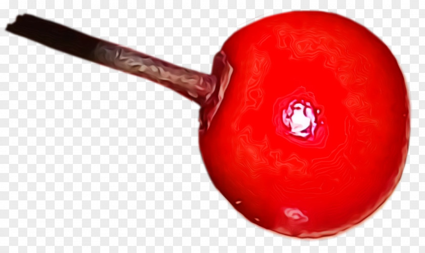 Fruit Plant Red PNG