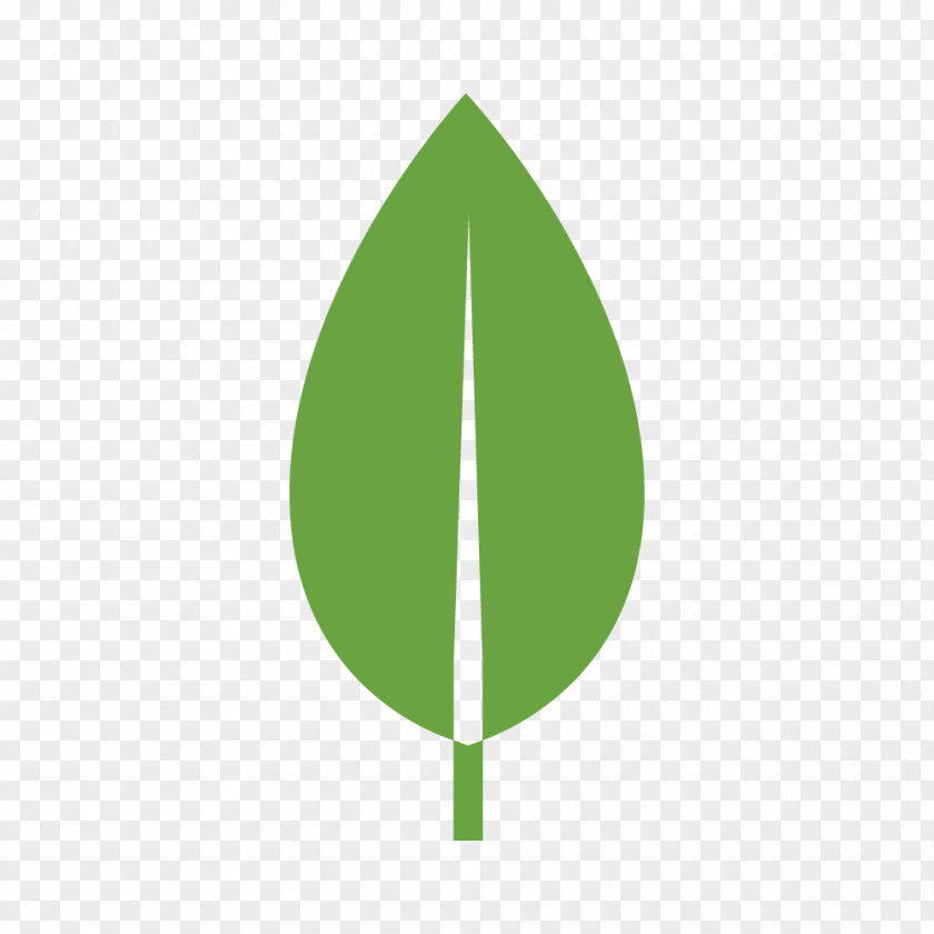 Leaf MongoDB Node.js Npm Open-source Model AngularJS PNG