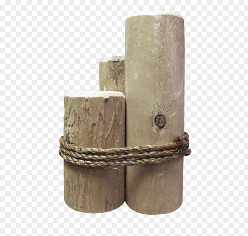 Stakes Rope Solid Wood Tree PNG