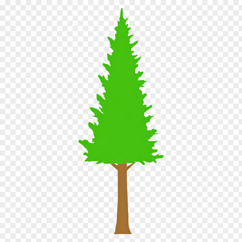 American Larch Leaf Christmas Tree PNG