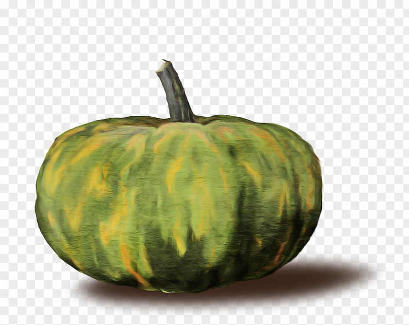 Cucurbita Melon Watermelon Background PNG