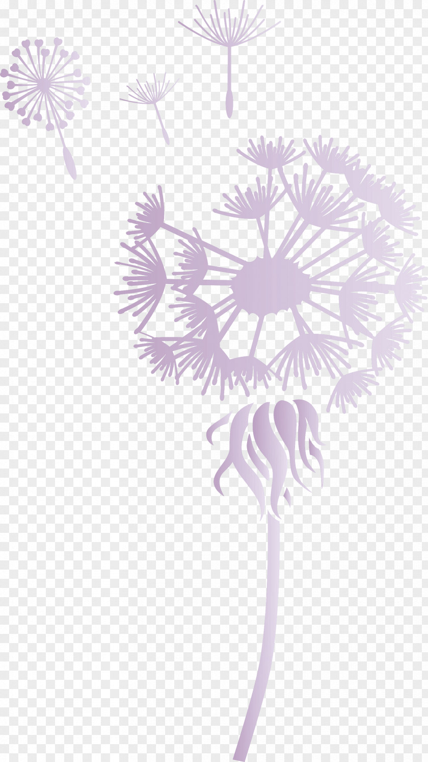 Dandelion PNG