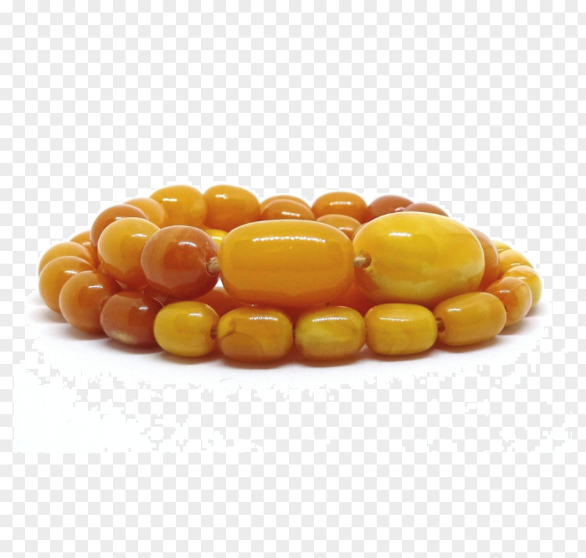 Necklace Baltic Amber Bead Jewellery PNG