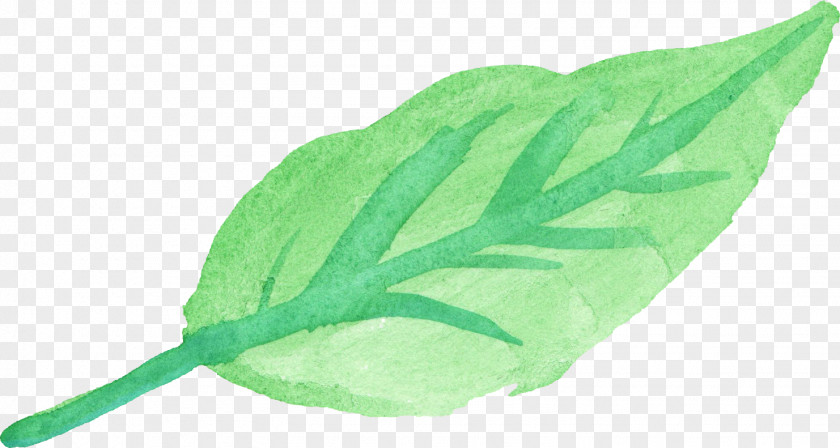 Watercolor Transparent Leaf Painting PNG