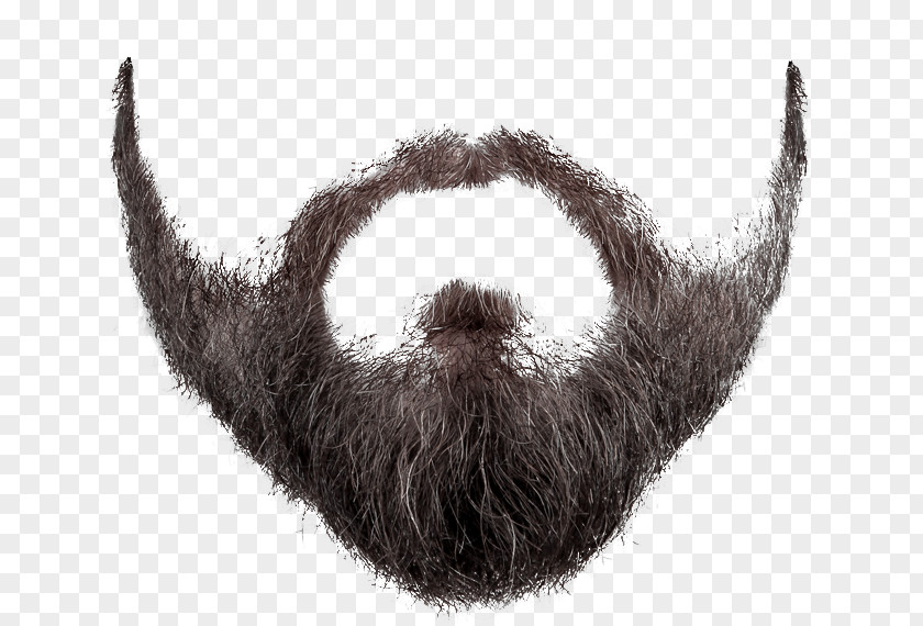 Whiskers Fur Moustache PNG