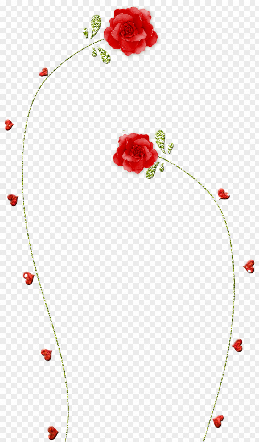 White Roses Cut Flowers Floral Design Rose PNG