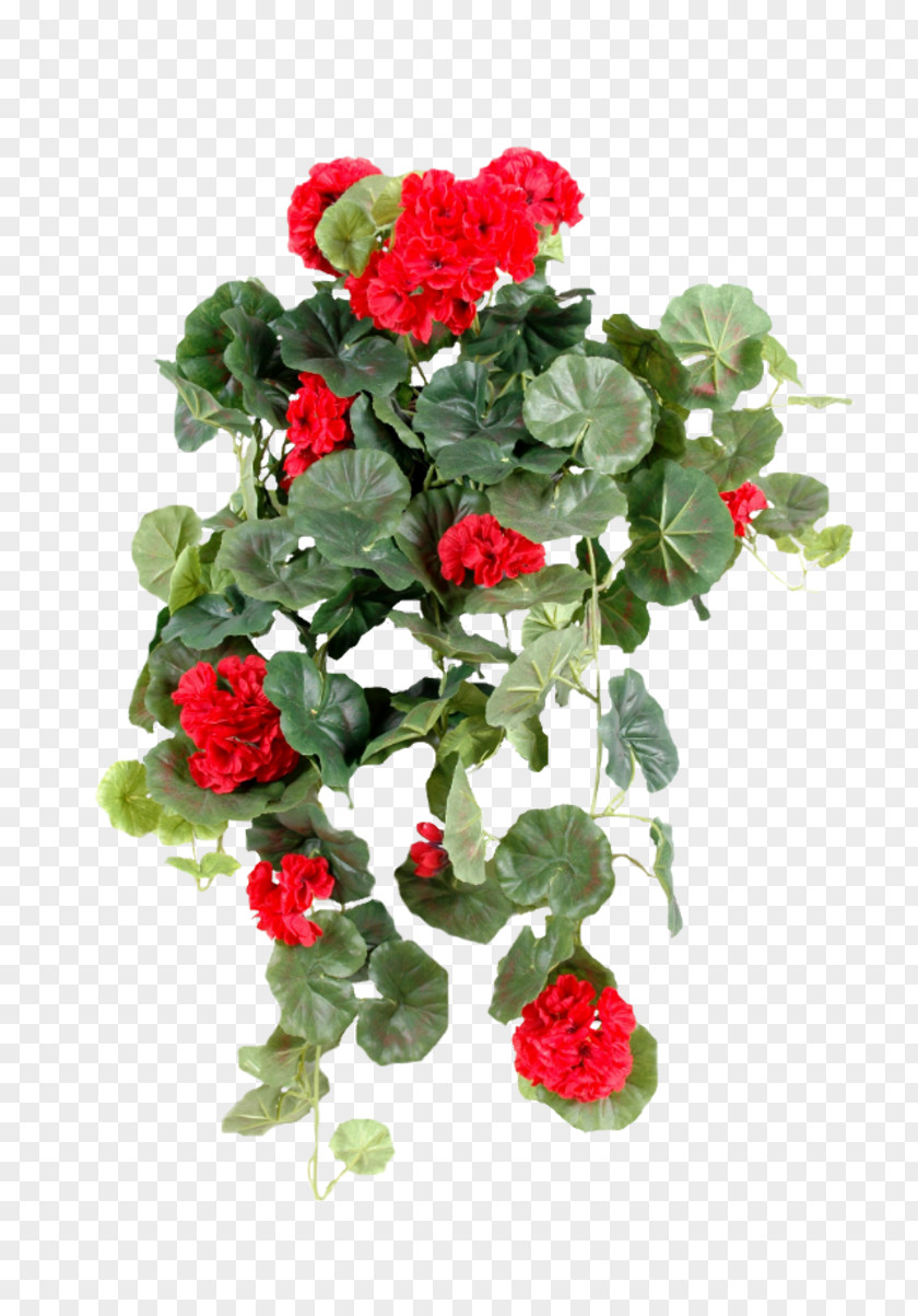 Jungle Geranium Artificial Flower Garden Roses Pelargonium Peltatum Green PNG