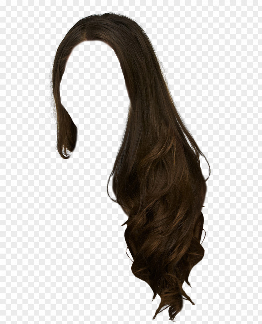 Liver Costume Hair Wig Hairstyle Brown Long PNG