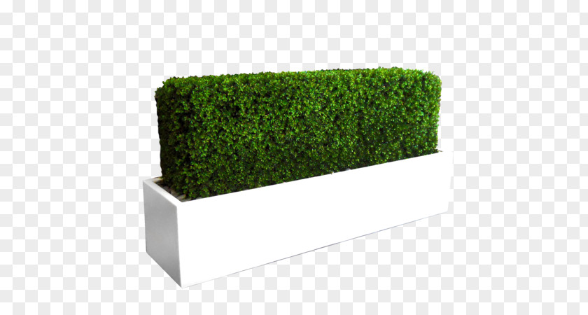 Planter Box Rectangle Flowerpot Flower PNG