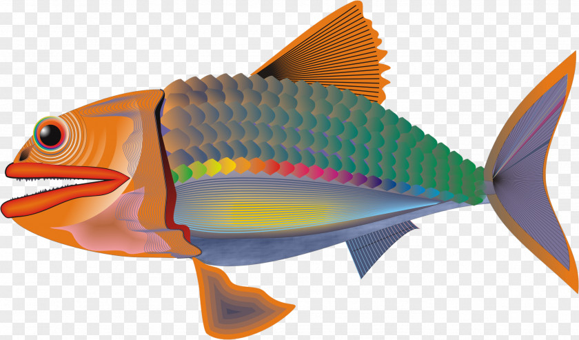 Red Fish Desktop Wallpaper Clip Art PNG