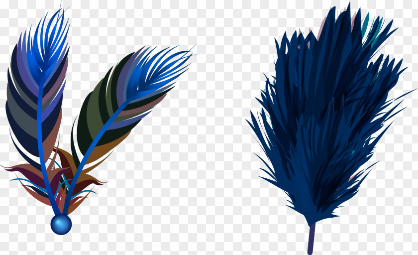 Vector Hand-painted Feathers Feather Euclidean PNG
