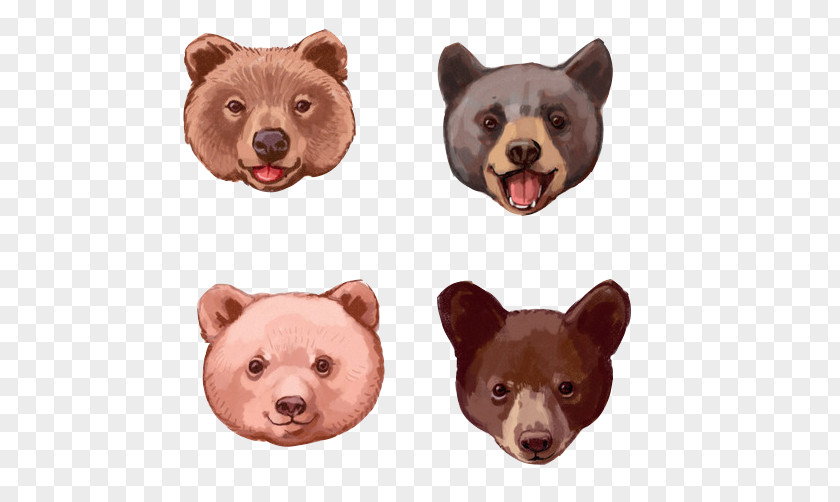 Bear Different Expressions Stock Image Paper Printing Illustration PNG