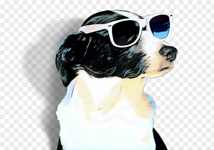 Border Collie Sporting Group Cool PNG