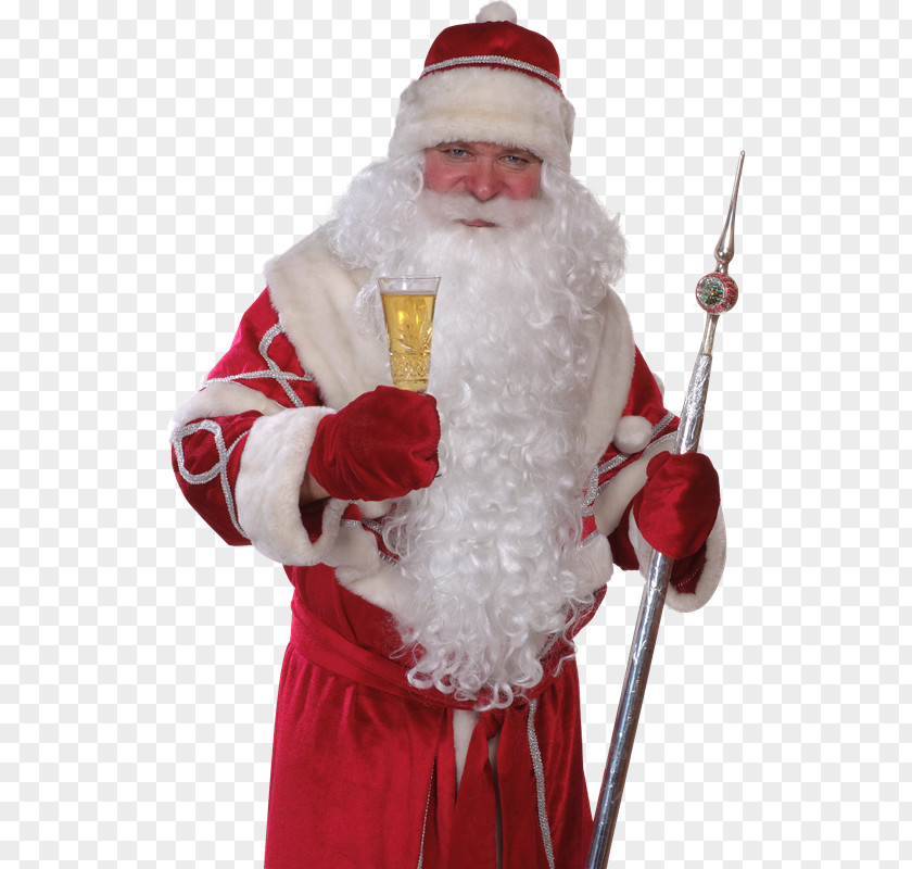 Brindis Ded Moroz Santa Claus Snegurochka Grandfather PNG