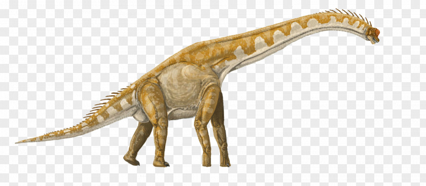 Dinosaur Brachiosaurus Lusotitan Giraffatitan Tyrannosaurus Apatosaurus PNG