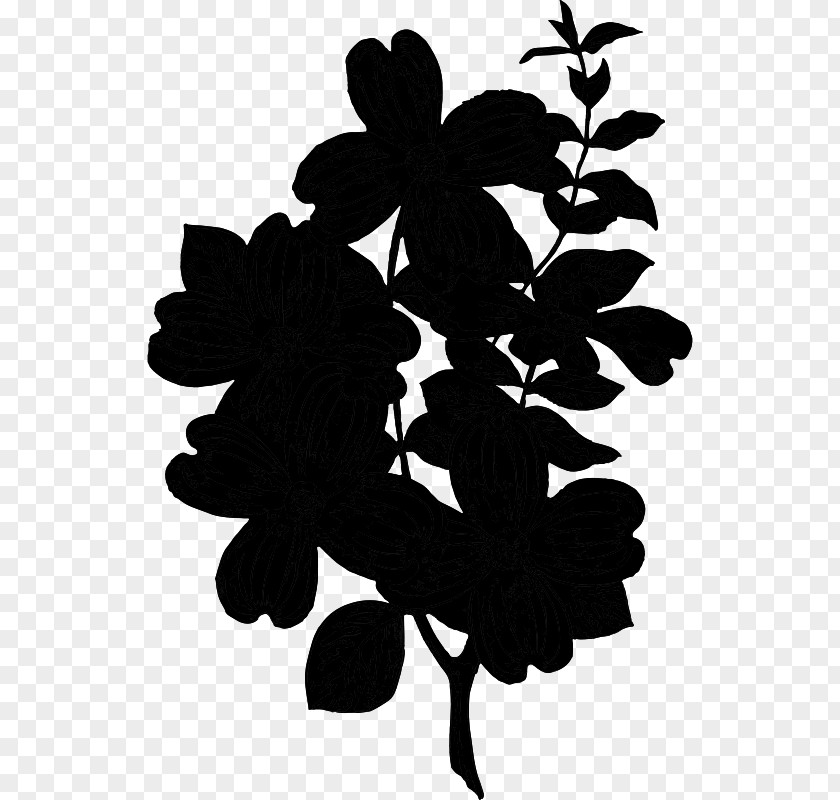 Flowering Plant Silhouette Leaf Plants PNG