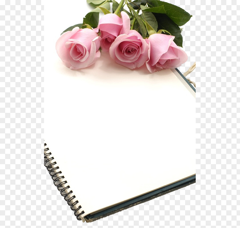 Rose And Book Urdu Poetry Islam Achi PNG