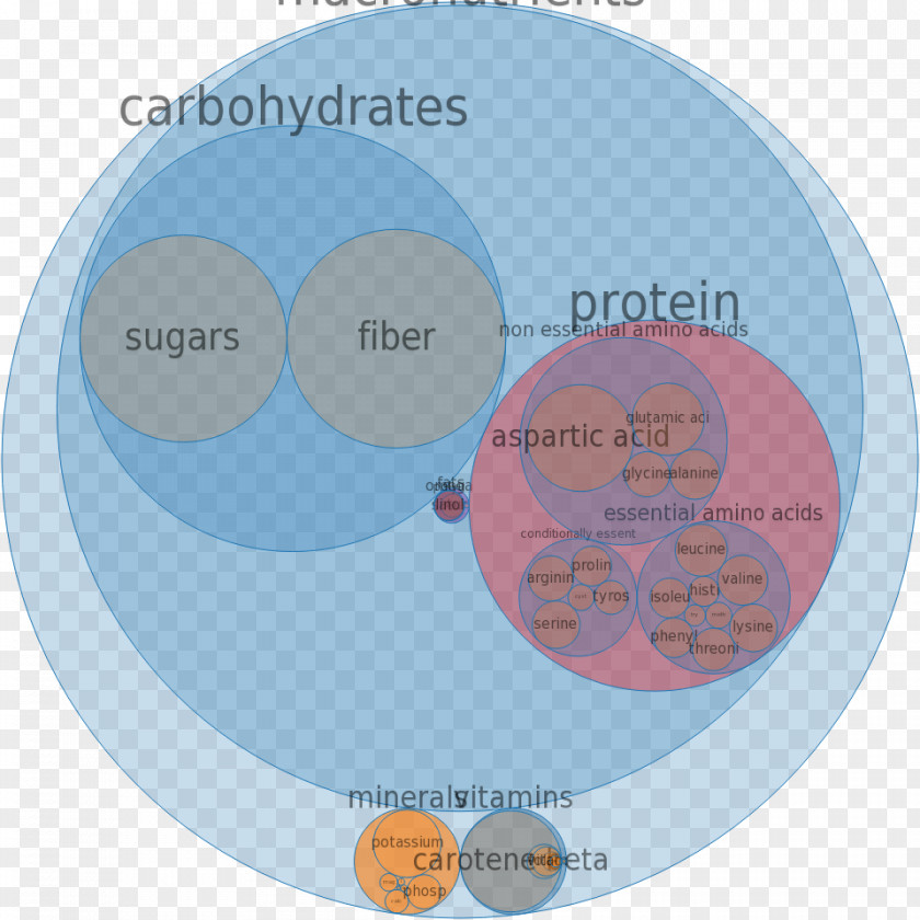 Water Brand Organization PNG