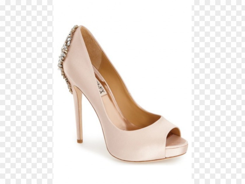 Wedding Shoes Court Shoe High-heeled Dress PNG