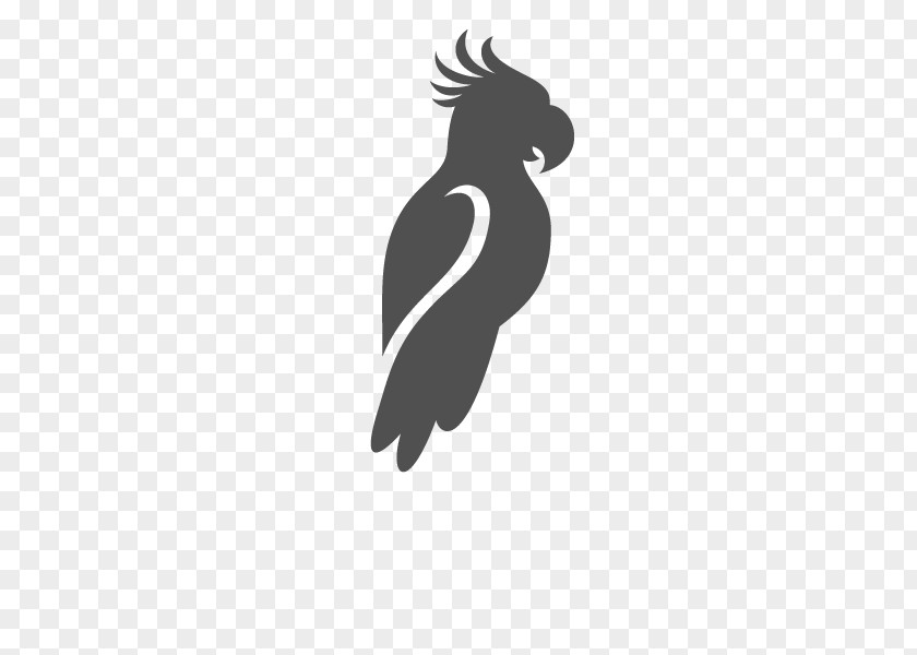 Bird Beak Flightless Logo Silhouette PNG