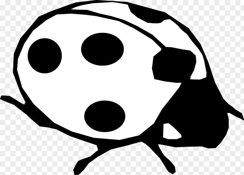 Black And White Plant Beetle Ladybird Clip Art PNG