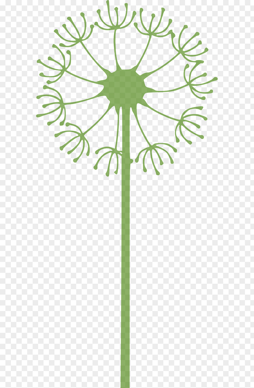 Dandelion Clip Art PNG