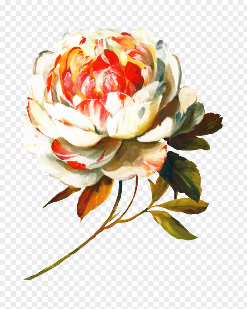 Garden Roses Rose Order Oil Painting Flower PNG