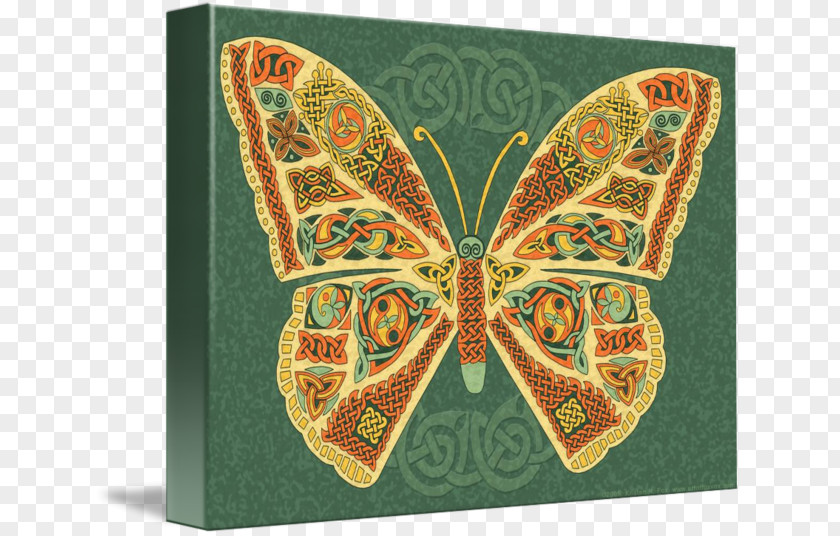Glossy Butterflys Celtic Knot Celts Symbol Butterfly Meaning PNG