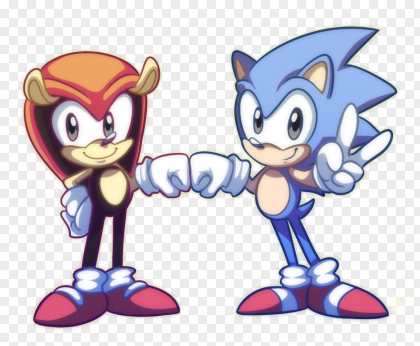 Hedgehog Amy Rose Armadillo Sonic The Ariciul PNG