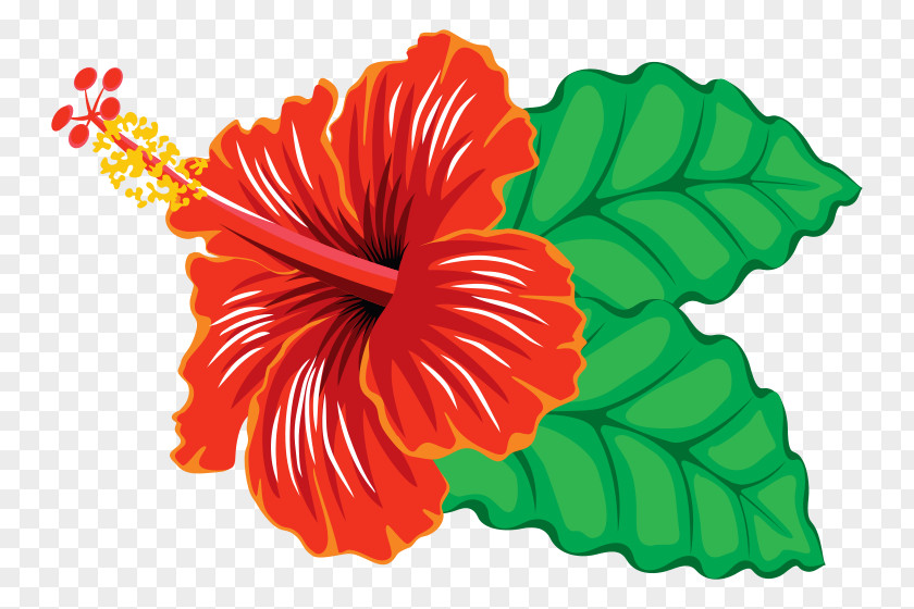 Hibiscus Cliparts Schizopetalus Yellow Hawaiian Clip Art PNG