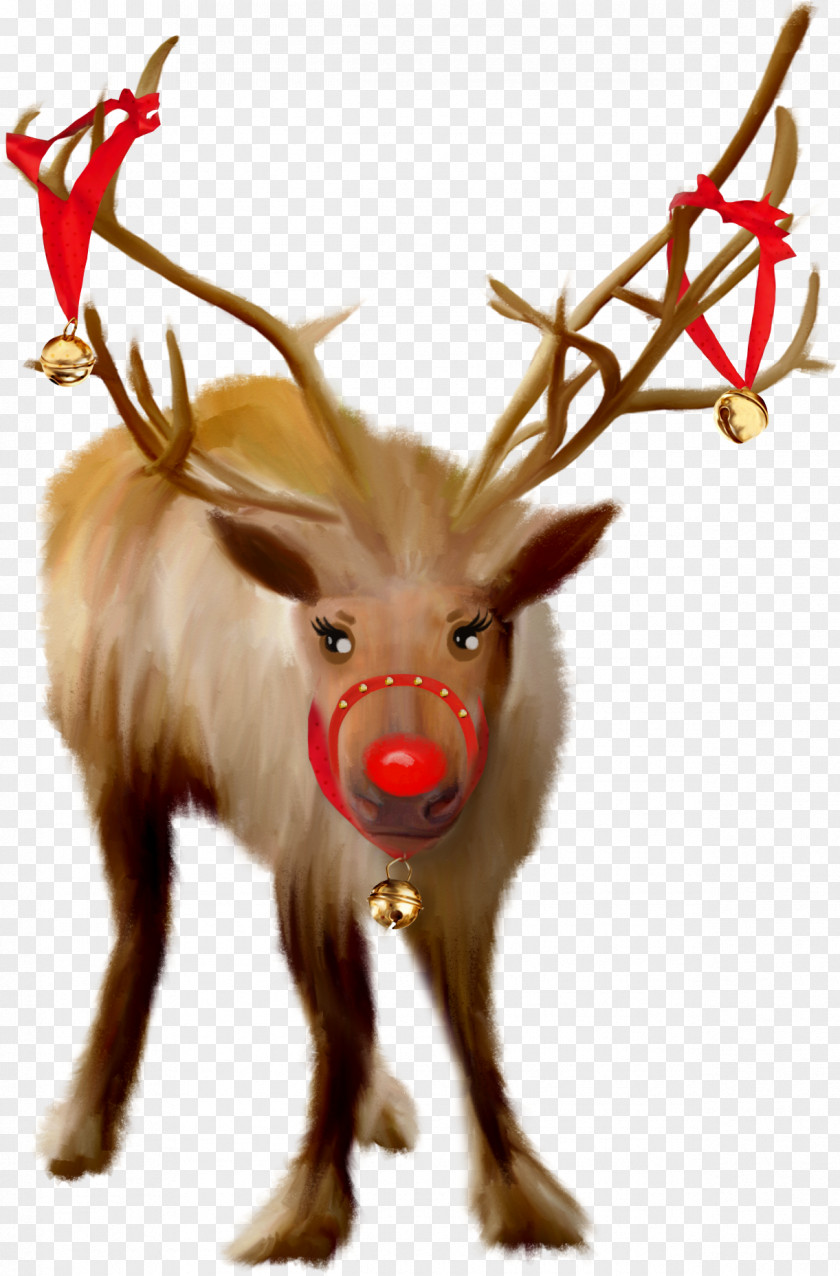 Internet Clipart Santa Claus's Reindeer Christmas PNG
