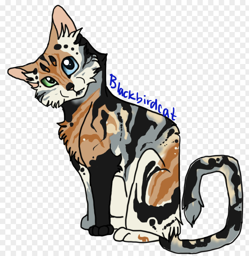 Kitten Whiskers Tiger Cat Warriors PNG