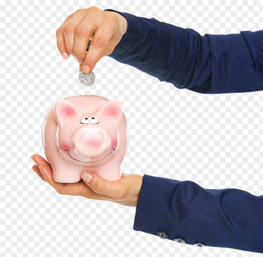 Piggy Bank Coin Money Saving PNG