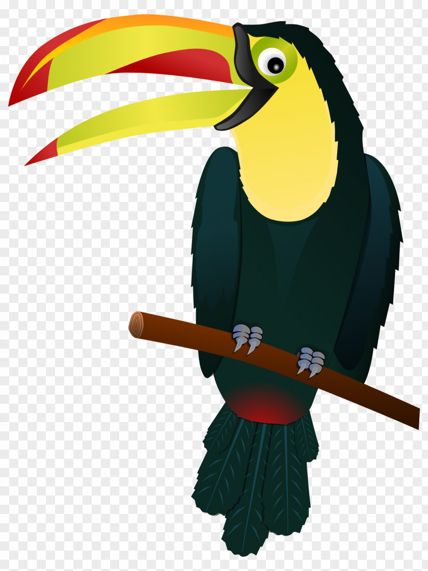 Toucan Cliparts Bird Keel-billed Clip Art PNG